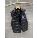 2022年12月秋冬高品質新作入荷 Canada Goose ダウンジャケットベスト人気 B028工場