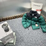 2022年12月秋冬高品質新作入荷 TheNorthFaceダウンジャケット人気 B028工場