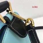 2023早春新作入荷原版復刻 LOEWE バッグ LOE2工場 SIZE:24-14-11