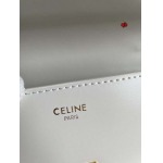 2023年春夏新作入荷CELINE バッグ qb工場 size:20.5x10.5×4