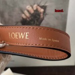 2023年早秋新作入荷高品質 LOEWE バッグ  LOW1工場21-12-12.5cm