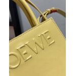 2023年早秋新作入荷高品質 LOEWE バッグ  LOW1工場21-17-6cm