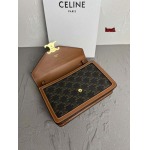 2023年早秋新作入荷高品質 CELINE バッグ LOW1工場 SIZE:25800