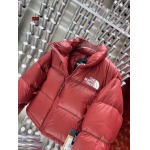 2023年11月17日秋冬高品質新品入荷The North Face 女性ダウンジャケット520工場 S-L