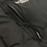 2023年11月21日秋冬新品入荷The North Face ダウンジャケットQIU工場