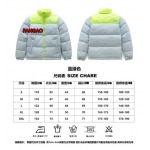 2023年11月21日秋冬新品入荷The North Face ダウンジャケットfangao工場