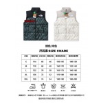 2023年11月21日秋冬新品入荷The North Face ダウンジャケットベストfangao工場