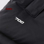 2023年11月21日秋冬新品入荷The North Face ダウンジャケットベストfangao工場
