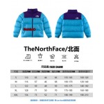 2023年11月21日秋冬新品入荷The North Face ダウンジャケットfangao工場