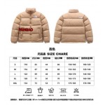 2023年11月21日秋冬新品入荷The North Face ダウンジャケットfangao工場