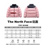 2023年11月21日秋冬新品入荷The North Face ダウンジャケットfangao工場