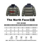 2023年11月21日秋冬新品入荷The North Face ダウンジャケットfangao工場