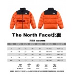 2023年11月21日秋冬新品入荷The North Face ダウンジャケットfangao工場