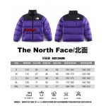 2023年11月21日秋冬新品入荷The North Face ダウンジャケットfangao工場