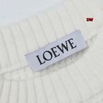 2023年11月23日秋冬新品入荷LOEWE セーターDW工場