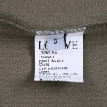 2024年早春人気新品入荷LOEWE 半袖 Tシャツ 520L工場