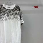 2024年早春高品質新品入荷ディオール 半袖 Tシャツ amg 工場