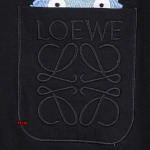 2024年4月9日春夏新作入荷LOEWE 半袖 TシャツFACAI工場