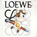 2024年5月17日夏新作入荷 LOEWE 半袖 Tシャツ NCC工場