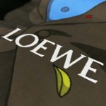 2024年5月17日夏新作入荷 LOEWE 半袖 Tシャツ NCC工場