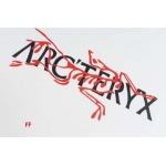 2024年7月4日夏季新品入荷 ARCTERYX 半袖 TシャツFF工場