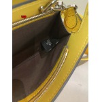 2024年高品質早秋新作入荷 FENDI バッグ wp工場size:23.14.6