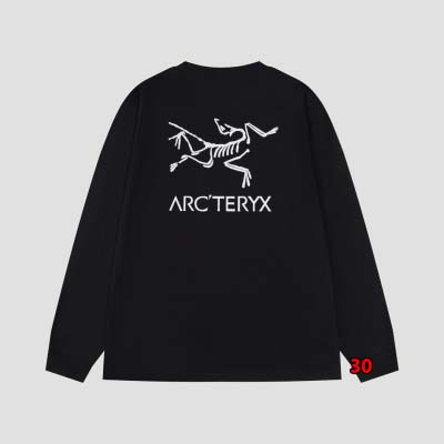 2024年9月23日早秋新品入荷 ARCTERYX 長袖 Tシャツ 30工場