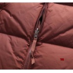 2024年10月17日秋冬新品入荷The North Face NFCチップ版 ダウンジャケットアウター YG工場