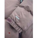 2024年10月17日秋冬新品入荷The North Face ダウンジャケットアウター YG工場