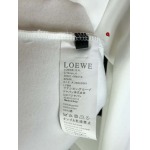 2024年10月18日秋冬高品質新品入荷 LOEWE 長袖 Tシャツ Q工場s-xxl