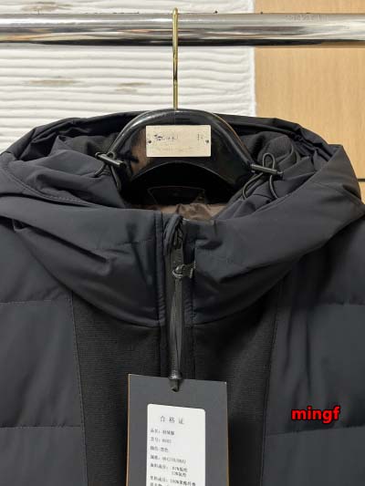 2024年11月28日秋冬高品質新品入荷ZEGNA ダウンジャケットMF工場