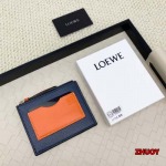 2024年11月1日秋冬新品入荷LOEWE カードパック  ...