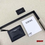 2024年11月1日秋冬新品入荷LOEWE カードパック  ...