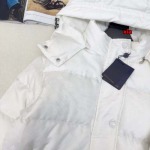 2024年11月5日秋冬新品入荷ルイヴィトン 綿入れの服アウターxia 工場