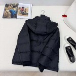 2024年11月5日秋冬新品入荷ルイヴィトン 綿入れの服アウターxia 工場