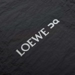 2024年11月6日秋冬高品質新品LOEWE ダウンジャケッアウター ベスト LING工場 XS-XL