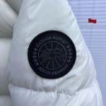 2024年11月7日秋冬高品質新品 Canada Goose 女性ダウンジャケッアウター LING工場 s-xl