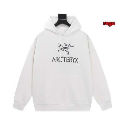 2024年11月14日秋冬新作入荷ARCTERYX パーカー...