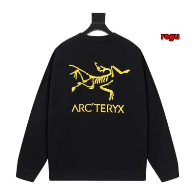 2024年11月14日秋冬新作入荷ARCTERYX スウェッ...