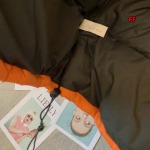 2024年11月15日秋冬新品入荷The North Face ルダウンジャケット FF工場