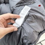 2024年11月15日秋冬新品入荷The North Face ダウンジャケット FF工場