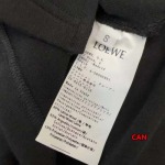 2024年11月20日秋冬新品入荷LOEWE 長袖 Tシャツ  can工場