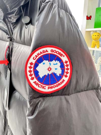 2024年12月4日秋冬高品質新品入荷 Canada Goose ダウンジャケット BF工場