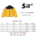 2024年12月4日秋冬新品入荷SUPREMEx The North Face  PU ダウンジャケット BF工場