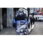 2024年12月4日秋冬新品入荷Supreme & The North Faceダウンジャケット BF工場