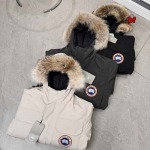 2024年12月4日秋冬高品質新品入荷 Canada Goose ダウンジャケット BF工場