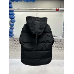 2024年12月4日秋冬高品質新品入荷 Canada Goose ダウンジャケット BF工場