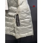 2024年12月4日冬高品質新品入荷 Canada Goose ダウンジャケットベスト BF工場