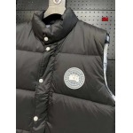 2024年12月4日冬高品質新品入荷 Canada Goose ダウンジャケットベスト BF工場