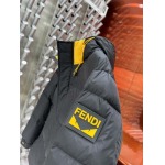 2024年12月9日秋冬高品質新品入荷FENDI  ダウンジャケット 520工場